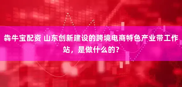 犇牛宝配资 山东创新建设的跨境电商特色产业带工作站，是做什么的？