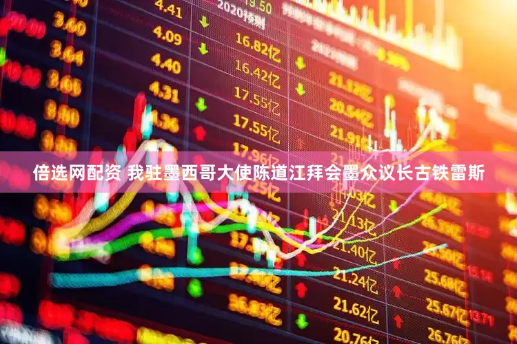 倍选网配资 我驻墨西哥大使陈道江拜会墨众议长古铁雷斯